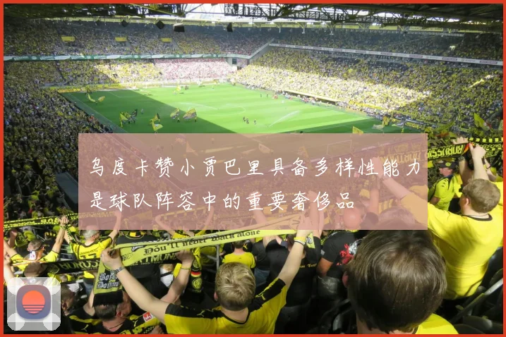 乌度卡赞小贾巴里具备多样性能力是球队阵容中的重要奢侈品